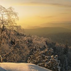 Александр Кузьмин