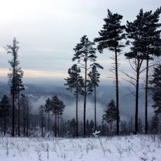 Александр Черников
