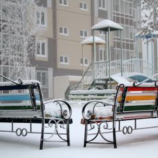 Светлана Сергеева