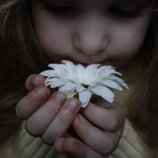 Екатерина Лимонова