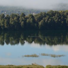 Ерофеева Анастасия