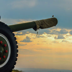 Маргарита Жирникова